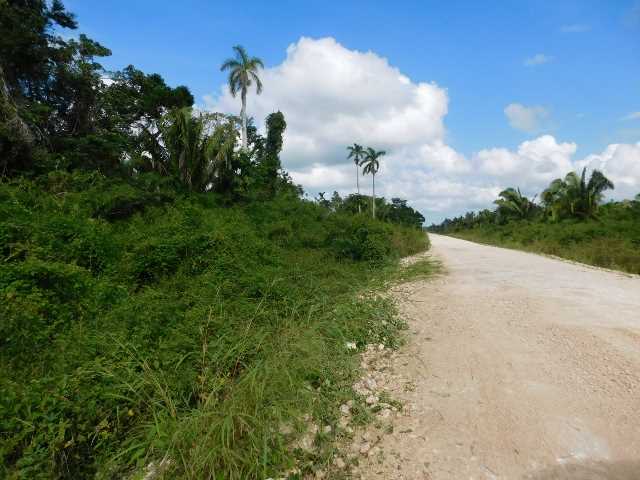 FARM LAND FOR SALE WITH WATER CREEK, VALLEY OF PEACE ROAD, CAYO DISTRICT, BELIZE, CENTRAL AMERICA. 